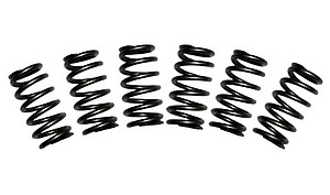 BD 1030060 Heavy Duty Valve Spring Kit, use with Exhaust Brake on Exhaust Valves. 12 Valve Dodge