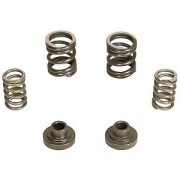 BD 3000 rpm Governor Spring Kit 1040187 P7100