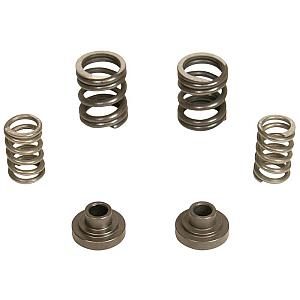 BD 3000 rpm Governor Spring Kit 1040187 P7100