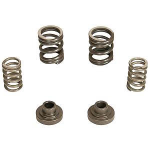 BD 3000 rpm Governor Spring Kit 1040187 P7100
