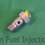 2417413101 Bosch overflow valve P7100