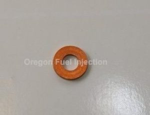 7169-519 Chamber Gasket, Injector Seal