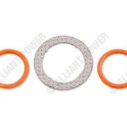 AP0005 EGR Valve Seal Kit 03-07 6.0 Powerstroke