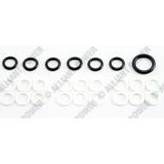 AP0025 IH DT466 570 Oil Rail Seal Kit