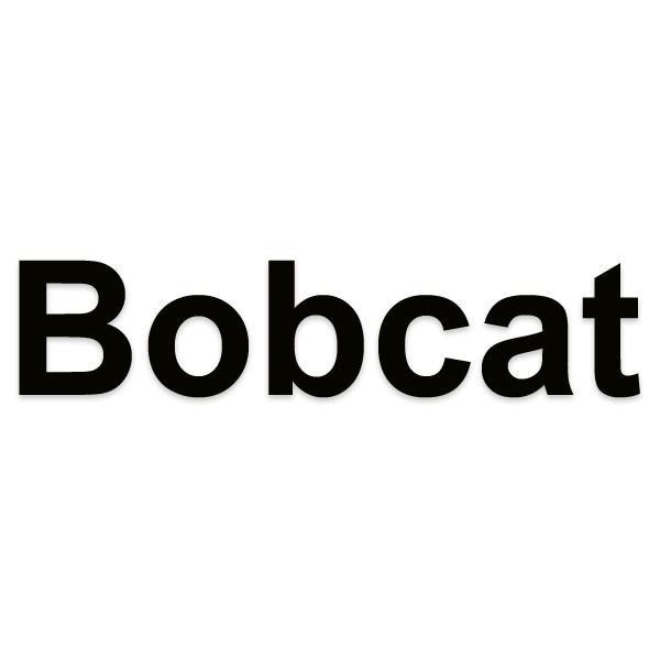 Bobcat