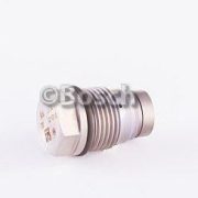 OE Bosch Pressure Relief Valve 1110010027, AGCO V837069409